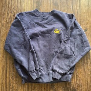 vintage Berkeley sweatshirt